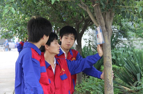 學生在討論汽修知識小問題